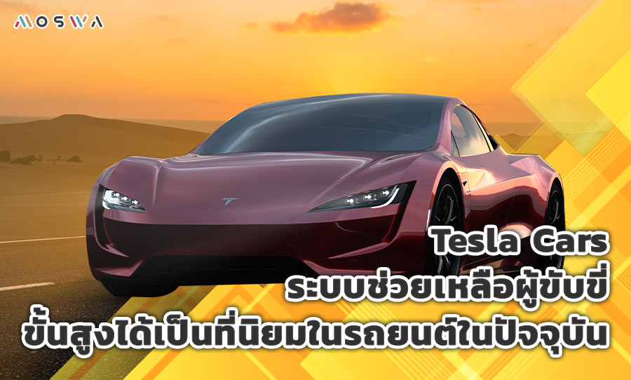 11.Tesla Cars
